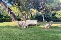 Bike Adventure from Valencia to Albufera Wetlands and Beaches