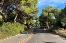 Bike Adventure from Valencia to Albufera Wetlands and Beaches