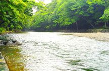 Ise: Express Tour of Japan’s Most Sacred Shrine