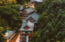 Danyang Tour to Guinsa Temple, Bobaljae, Ondal Film set and Cave