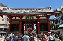 Tokyo Private Half-Day Tour by Car with Local Guide