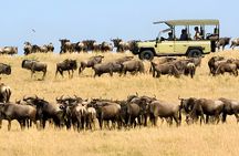 Safari & Spa Experience Johannesburg