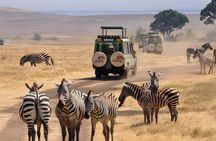 Safari & Spa Experience Johannesburg