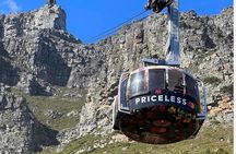 Table Mountain and Boulder Penguins Half Day Tour