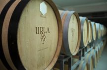 Private Urla Wine and Olive Oil Tour from Izmir