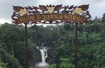 Private Car Charter in Bali with an English speaking Driver