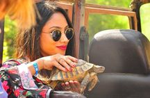 Bodrum Jeep Safari Adventure – Lunch Included