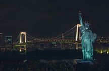 Tokyo After Dark Scenic Night Tour