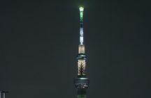 Tokyo After Dark Scenic Night Tour
