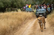 Kathmandu: 3 Days Chitwan Jungle Safari Private Tour