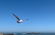 Private Marrakech Day Trip to Essaouira