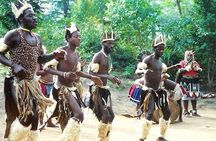 Tala Game reserve, Natal lion Park and Phezulu from Durban Tour