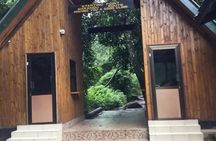 Kilimanjaro Day Hike from Moshi Marangu Route