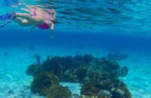Barrier Reef Snorkeling from Hopkins Village