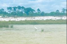 Guided Stand up Paddle Activity