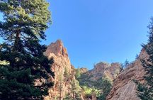 Creek to Peak Hike to Mt. Cutler in Colorado Springs