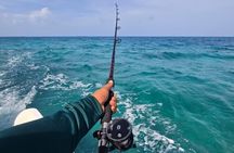 Reef Fishing Tour Trolling and Drop Fishing Trip from Hopkins