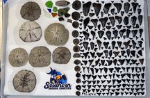 Charleston/Folly Beach Shark Tooth and fossil Island Drop off