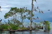 Island Hopping Tour from Hopkins Belize