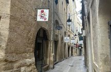 Montpellier by bike vintage guided bike tour 