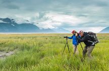 Turnagain Arm Highlights Photo Tour