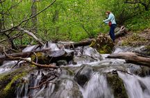 Turnagain Arm Highlights Photo Tour