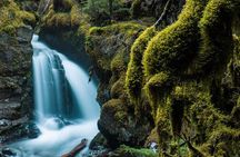 Turnagain Arm Highlights Photo Tour