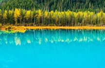 Turnagain Arm Highlights Photo Tour