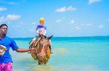 Aqua Fun Tours Dunns Falls, River Tubing and Horse Back