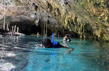 Tulum and Cenote Private Tour Ruins and Swimming