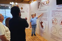 Mini Tour Ica: Winery and Dunes