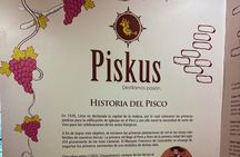 Mini Tour Ica: Winery and Dunes