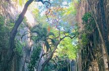 Nassau Historical Walking Tour