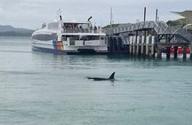 Waiheke Island Private Tours