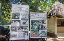 Jozani Forest ,Kuza Cave,Paje beach&the Rock Private Tour