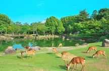 Kansai Shared Day Tour in Fushimi Inari Shrine and Kiyomizudera