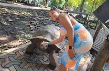 Stone Town,Spice Tour&Prison Island Private Tour 