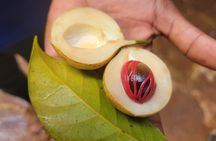 Stone Town,Spice Tour&Prison Island Private Tour 