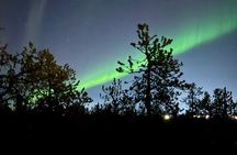 Yellowknife Aurora Hunting Tour 