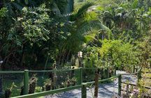 Half Day Tour in Nadi 