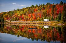 Small Group :Lake Muskoka & Algonquin 1-Day Tour From Toronto
