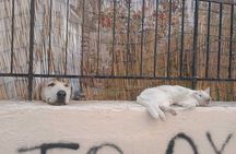 Craft Beer & City Tour - Rethymno Old Town