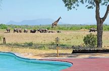 3 Day Tangala Safari Camp 