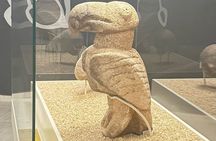 Göbeklitepe Tour from Istanbul by Flight