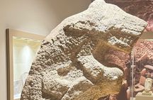 Göbeklitepe Tour from Istanbul by Flight