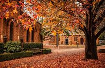 Sydney Wine Tasting-Southern Highlands with Pick up & drop off 