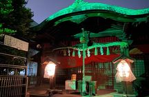 Shadows of Edo: Yoshiwara Courtesan District & Asakusa Backstreet