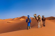 2 Day Private Sahara Adventure from Fez to Merzouga and Back