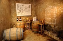 Half day Tour Visit 2 Wineries & Unlimited Wine. Private Transfer