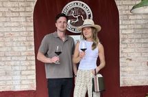 Half day Tour Visit 2 Wineries & Unlimited Wine. Private Transfer
